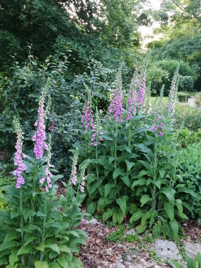 Chambre E Andre Le Domaine Des Jardins De Bracquetuit Dış mekan fotoğraf
