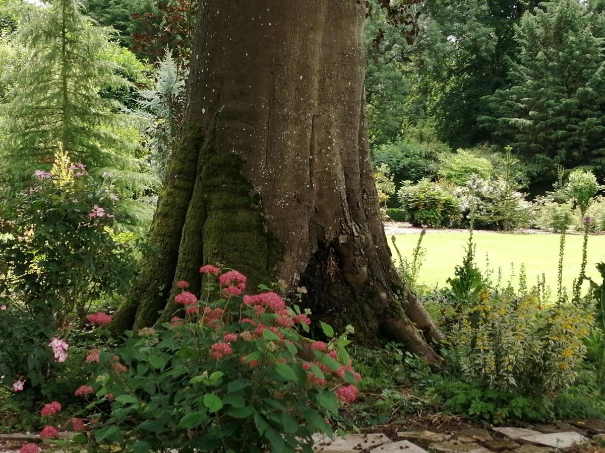 Chambre E Andre Le Domaine Des Jardins De Bracquetuit Dış mekan fotoğraf