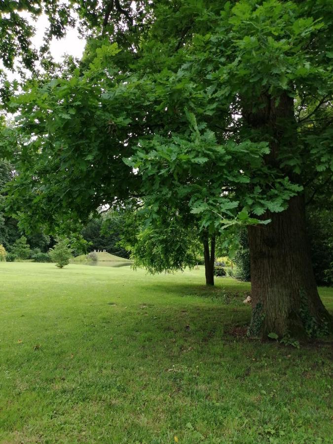 Chambre E Andre Le Domaine Des Jardins De Bracquetuit Dış mekan fotoğraf