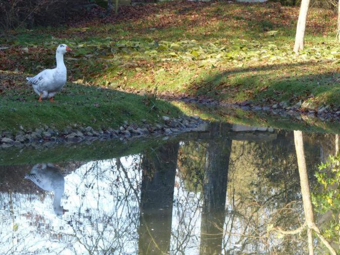 Chambre E Andre Le Domaine Des Jardins De Bracquetuit Dış mekan fotoğraf