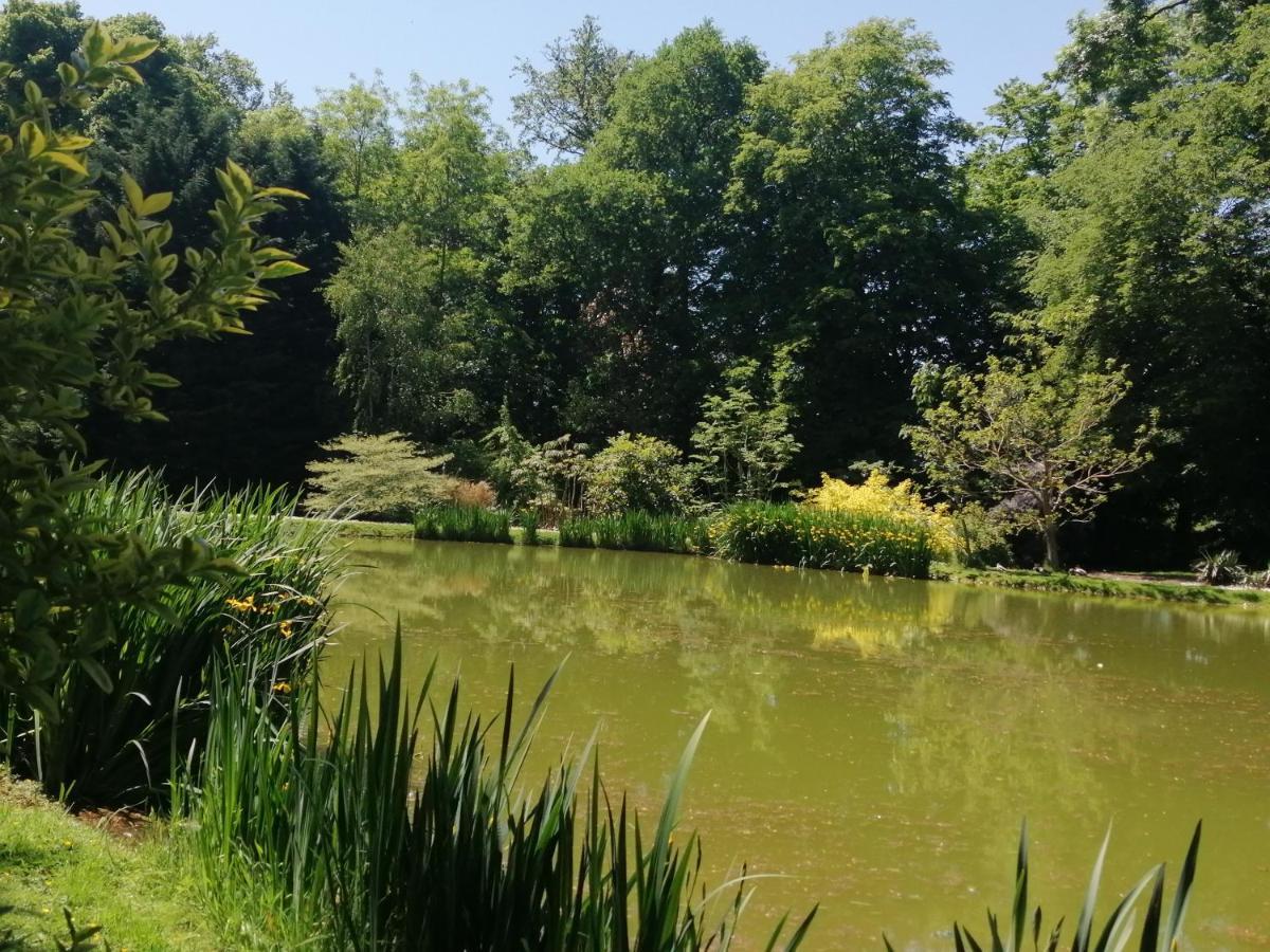 Chambre E Andre Le Domaine Des Jardins De Bracquetuit Dış mekan fotoğraf
